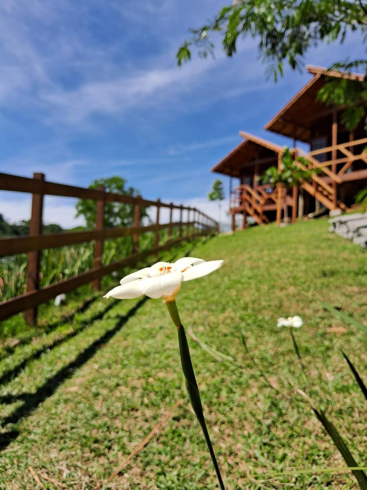 Alojamento de Turismo Selvagem Hoff Haus